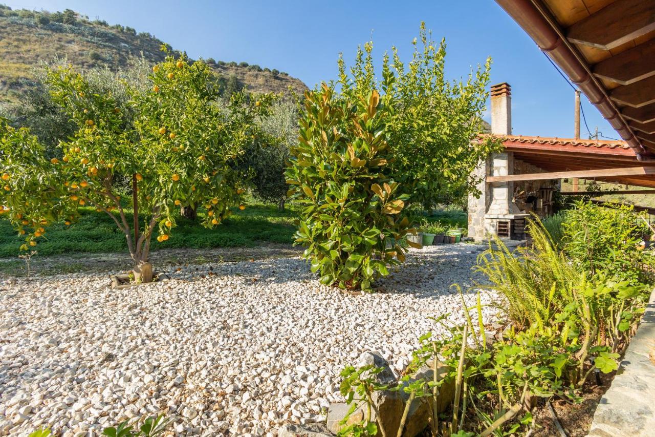 Galateia Villa Dhafnes