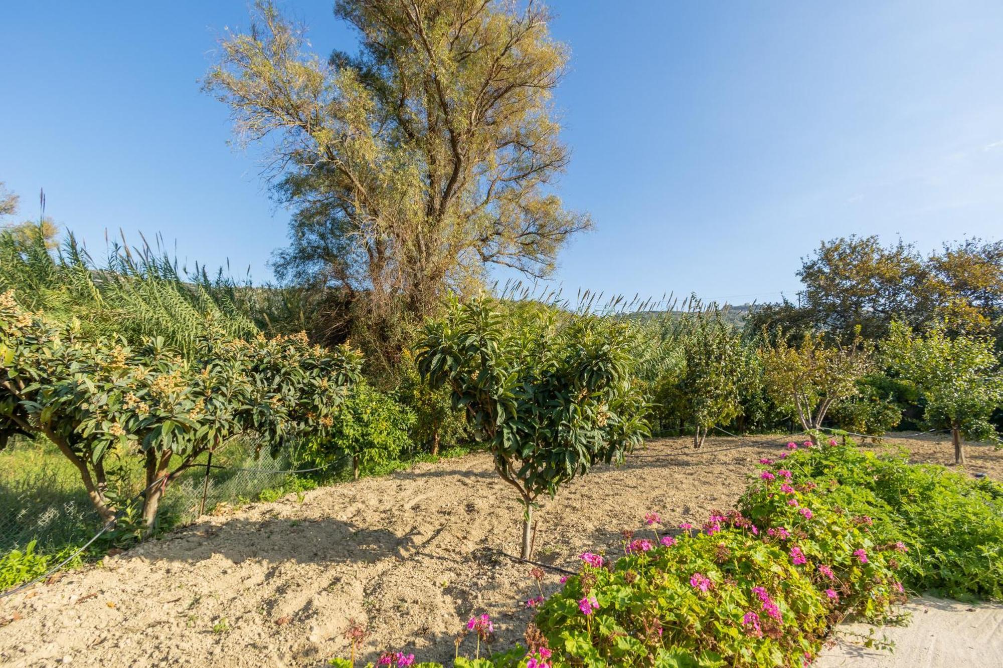 Galateia Villa